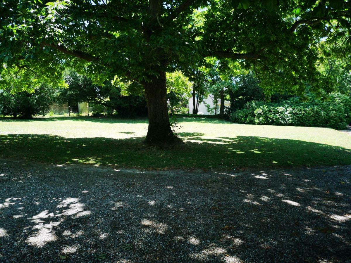 La Nouvelle Criqueboise Criquebeuf-en-Caux Exterior foto